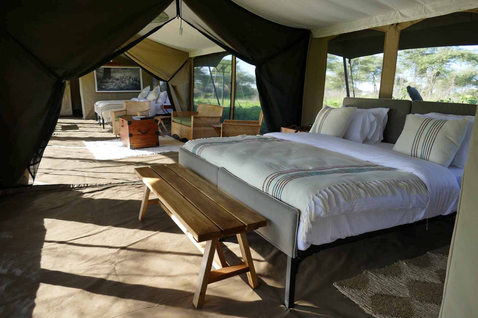 Bedroom of the family tent with a large bed, a wooden bench and mesh windows opening onto bush